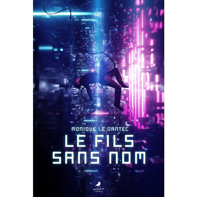 LE FILS SANS NOM - Monique LE DANTEC