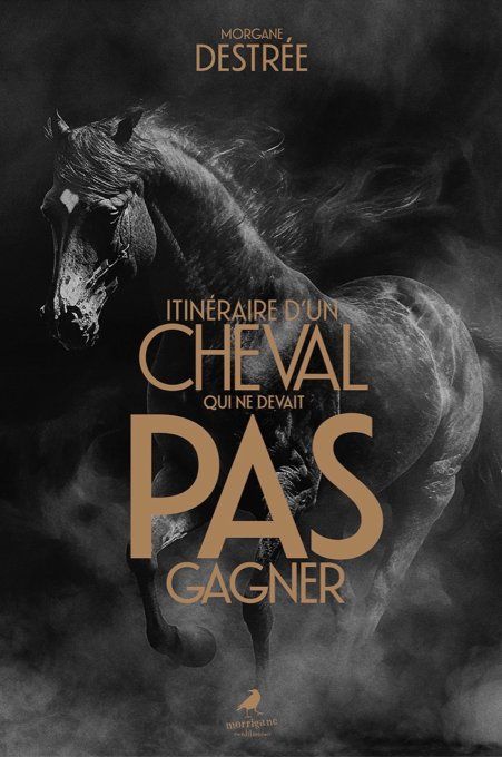 ITINÉRAIRE D'UN CHEVAL QUI NE DEVAIT PAS GAGNER - Morgane Destée